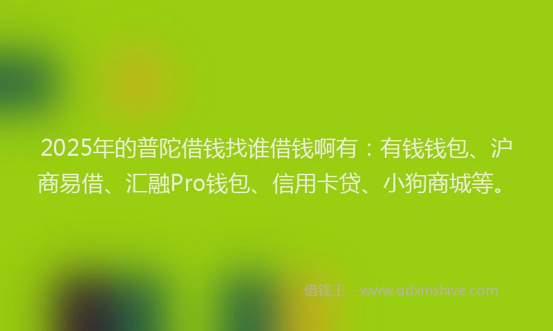 2025年的普陀借钱找谁借钱啊有：有钱钱包、沪商易借、汇融Pro钱包、信用卡贷、小狗商城等。