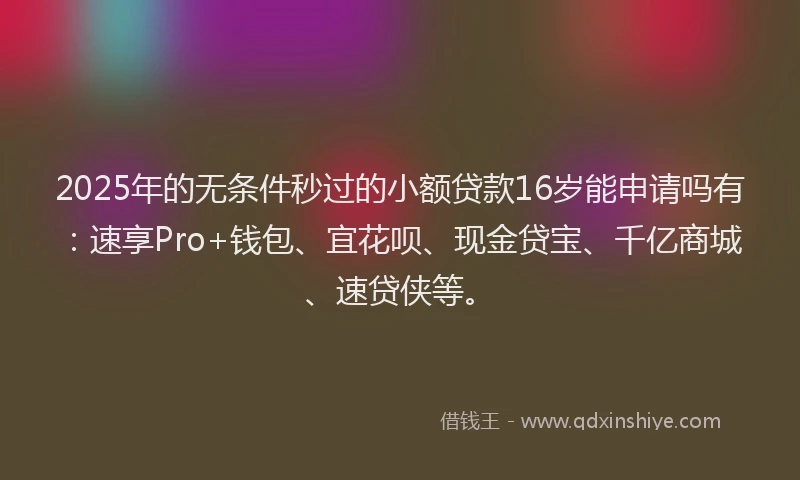 2025年的无条件秒过的小额贷款16岁能申请吗有：速享Pro+钱包、宜花呗、现金贷宝、千亿商城、速贷侠等。