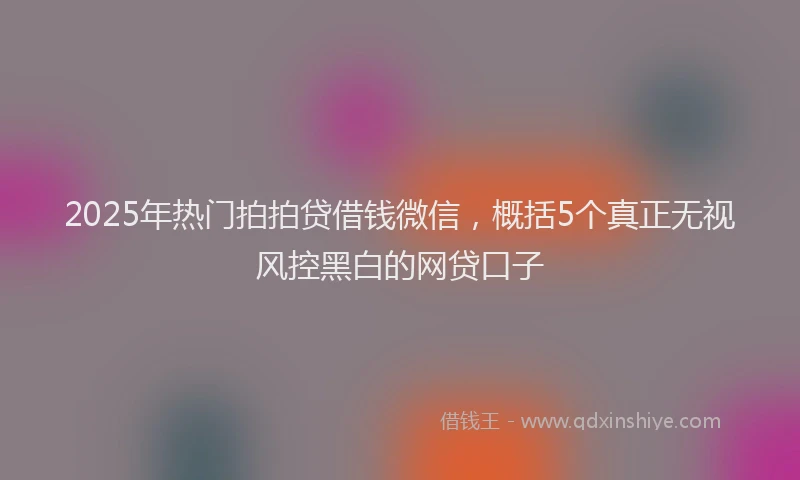 2025年热门拍拍贷借钱微信，概括5个真正无视风控黑白的网贷口子