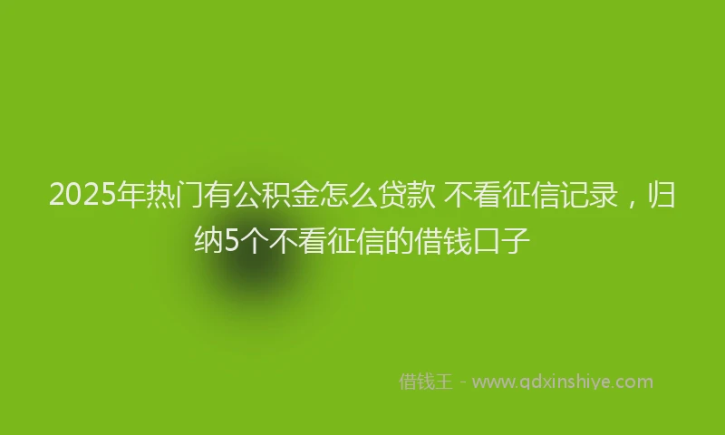 2025年热门有公积金怎么贷款 不看征信记录，归纳5个不看征信的借钱口子