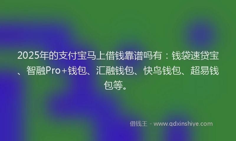 2025年的支付宝马上借钱靠谱吗有：钱袋速贷宝、智融Pro+钱包、汇融钱包、快鸟钱包、超易钱包等。