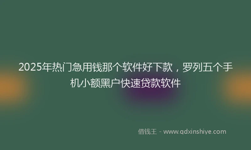 2025年热门急用钱那个软件好下款，罗列五个手机小额黑户快速贷款软件
