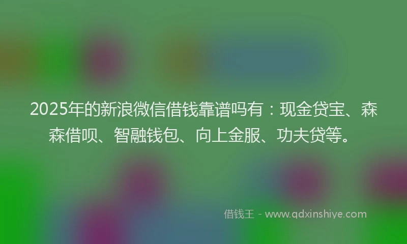 2025年的新浪微信借钱靠谱吗有：现金贷宝、森森借呗、智融钱包、向上金服、功夫贷等。