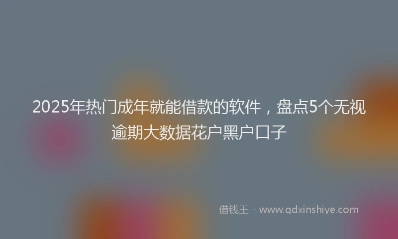 2025年热门成年就能借款的软件，盘点5个无视逾期大数据花户黑户口子
