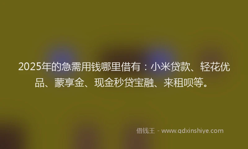 2025年的急需用钱哪里借有：小米贷款、轻花优品、蒙享金、现金秒贷宝融、来租呗等。