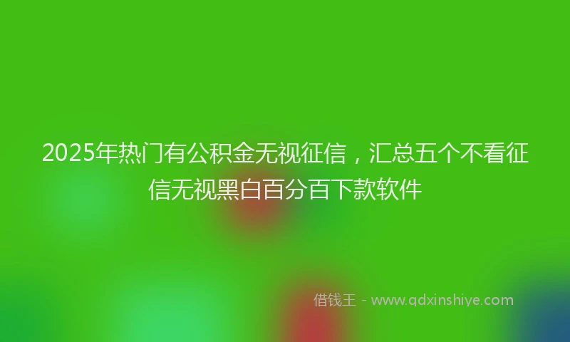 2025年热门有公积金无视征信，汇总五个不看征信无视黑白百分百下款软件
