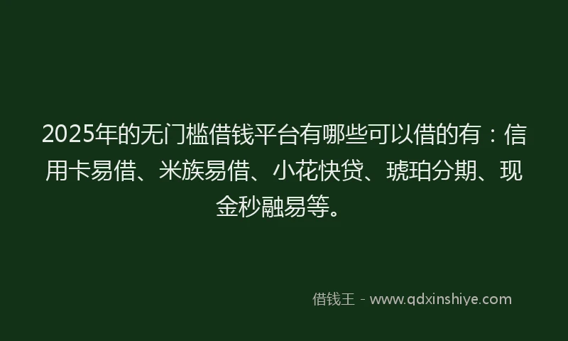2025年的无门槛借钱平台有哪些可以借的有：信用卡易借、米族易借、小花快贷、琥珀分期、现金秒融易等。