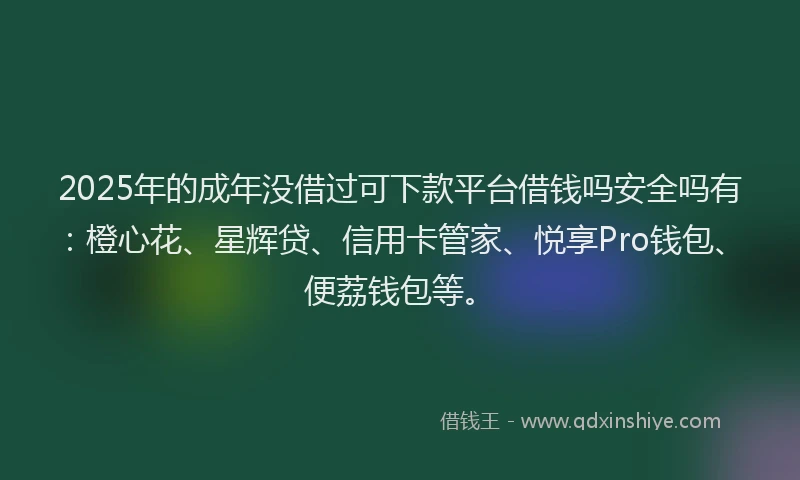 2025年的成年没借过可下款平台借钱吗安全吗有：橙心花、星辉贷、信用卡管家、悦享Pro钱包、便荔钱包等。