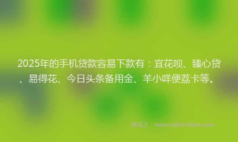2025年的手机贷款容易下款有：宜花呗、臻心贷、易得花、今日头条备用金、羊小咩便荔卡等。