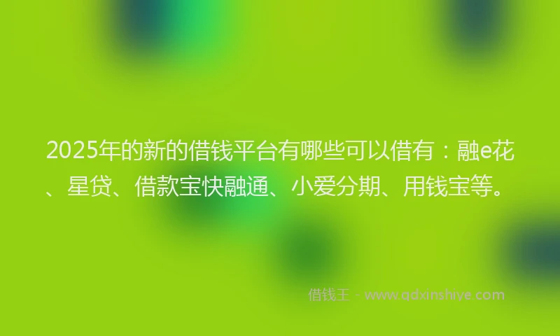 2025年的新的借钱平台有哪些可以借有：融e花、星贷、借款宝快融通、小爱分期、用钱宝等。