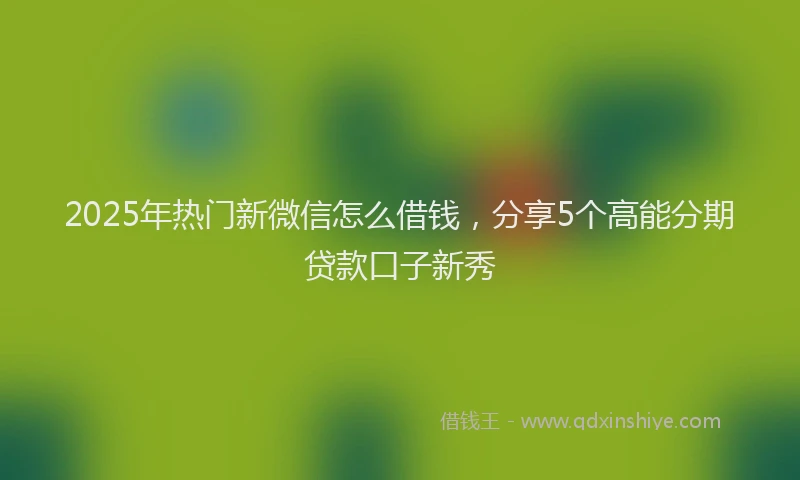 2025年热门新微信怎么借钱，分享5个高能分期贷款口子新秀