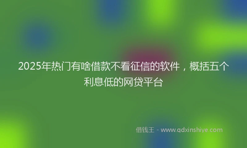 2025年热门有啥借款不看征信的软件，概括五个利息低的网贷平台