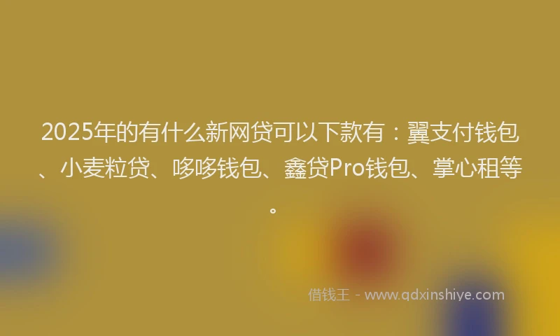 2025年的有什么新网贷可以下款有：翼支付钱包、小麦粒贷、哆哆钱包、鑫贷Pro钱包、掌心租等。