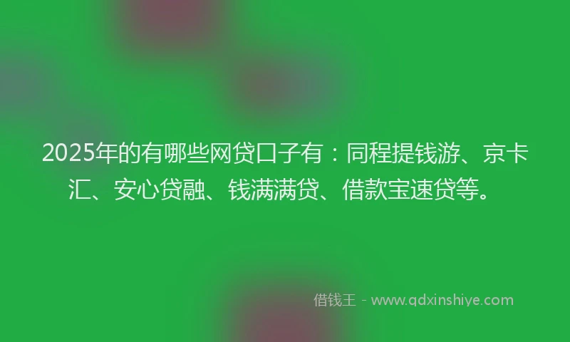 2025年的有哪些网贷口子有：同程提钱游、京卡汇、安心贷融、钱满满贷、借款宝速贷等。