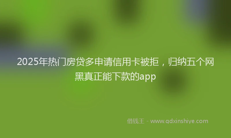 2025年热门房贷多申请信用卡被拒，归纳五个网黑真正能下款的app