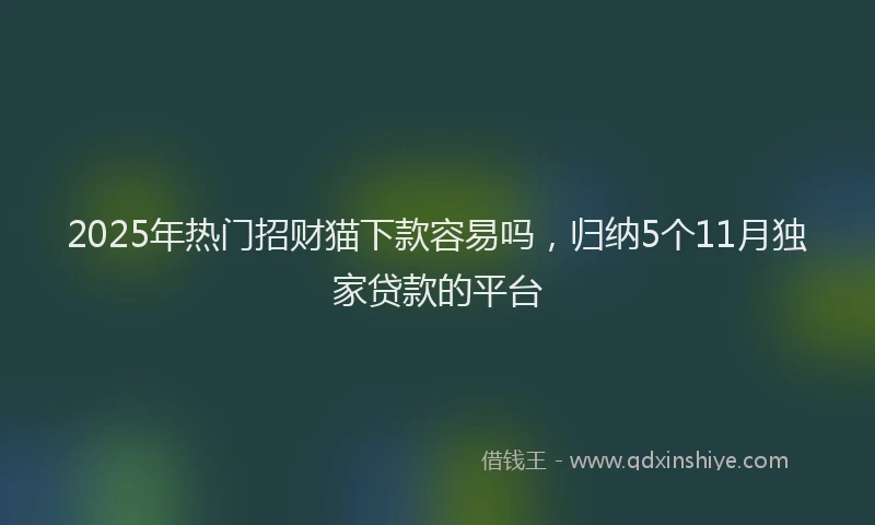 2025年热门招财猫下款容易吗，归纳5个11月独家贷款的平台