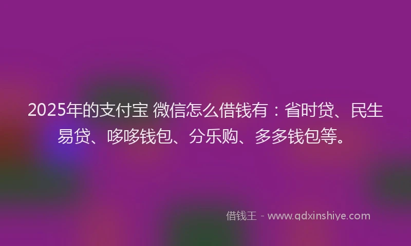 2025年的支付宝 微信怎么借钱有：省时贷、民生易贷、哆哆钱包、分乐购、多多钱包等。