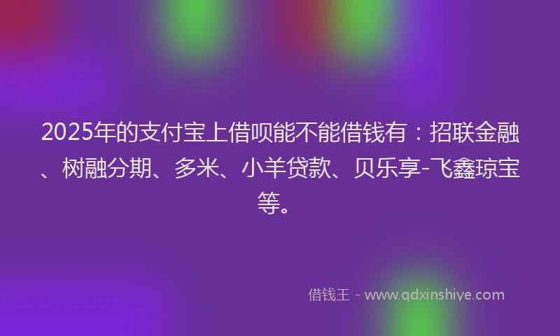 2025年的支付宝上借呗能不能借钱有：招联金融、树融分期、多米、小羊贷款、贝乐享-飞鑫琼宝等。