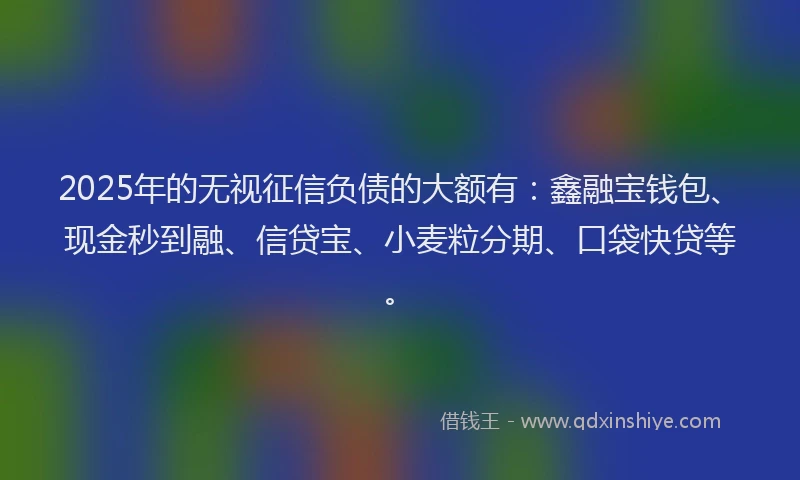 2025年的无视征信负债的大额有：鑫融宝钱包、现金秒到融、信贷宝、小麦粒分期、口袋快贷等。