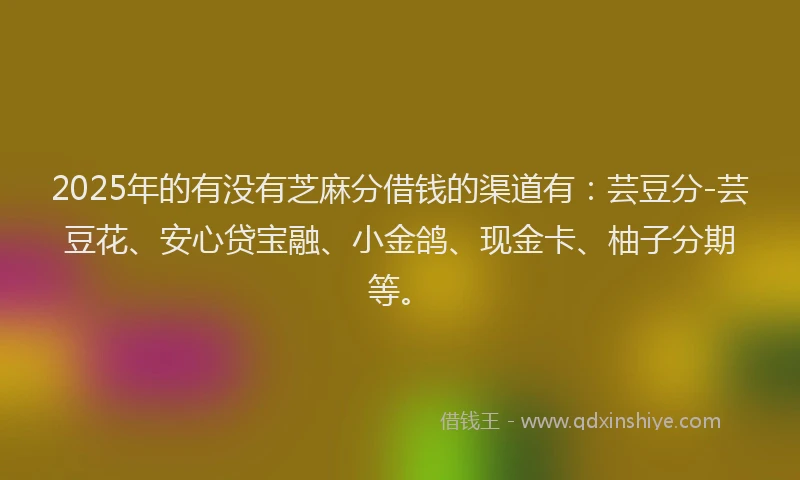 2025年的有没有芝麻分借钱的渠道有：芸豆分-芸豆花、安心贷宝融、小金鸽、现金卡、柚子分期等。