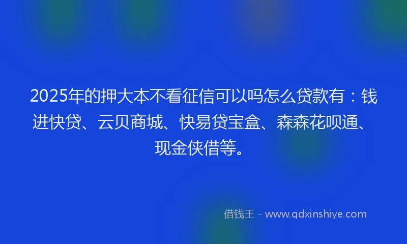 2025年的押大本不看征信可以吗怎么贷款有：钱进快贷、云贝商城、快易贷宝盒、森森花呗通、现金侠借等。