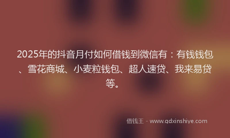 2025年的抖音月付如何借钱到微信有：有钱钱包、雪花商城、小麦粒钱包、超人速贷、我来易贷等。