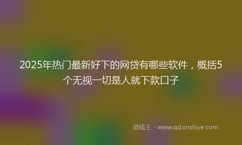 2025年热门最新好下的网贷有哪些软件，概括5个无视一切是人就下款口子