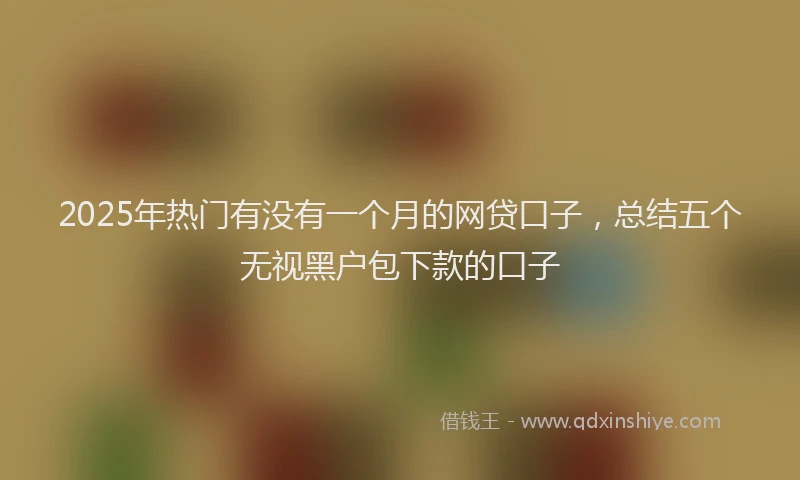 2025年热门有没有一个月的网贷口子，总结五个无视黑户包下款的口子