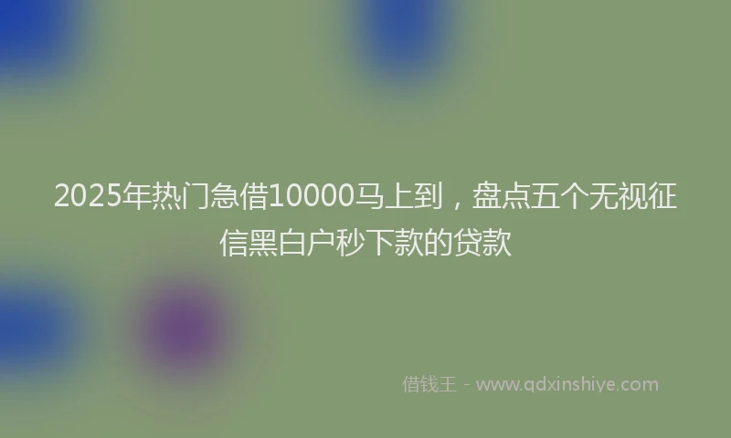 2025年热门急借10000马上到，盘点五个无视征信黑白户秒下款的贷款