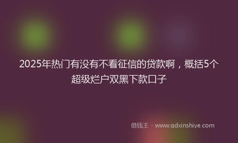 2025年热门有没有不看征信的贷款啊，概括5个超级烂户双黑下款口子