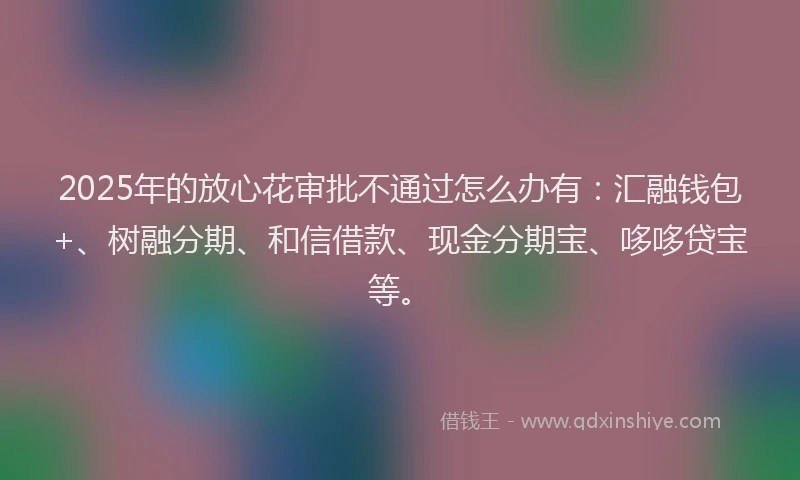 2025年的放心花审批不通过怎么办有：汇融钱包+、树融分期、和信借款、现金分期宝、哆哆贷宝等。