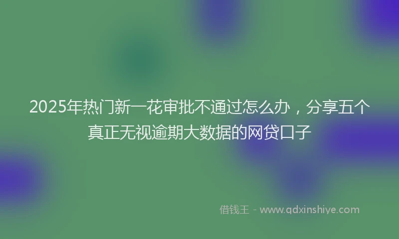 2025年热门新一花审批不通过怎么办，分享五个真正无视逾期大数据的网贷口子