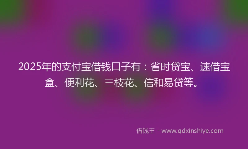 2025年的支付宝借钱口子有：省时贷宝、速借宝盒、便利花、三枝花、信和易贷等。