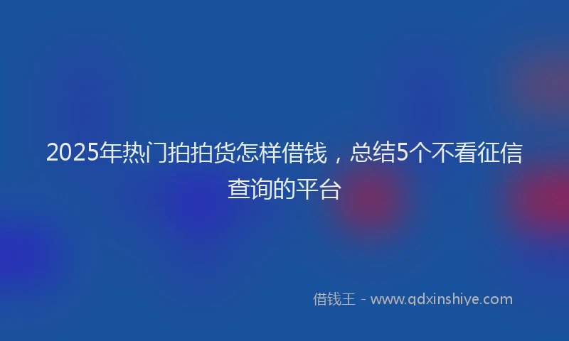 2025年热门拍拍货怎样借钱，总结5个不看征信查询的平台