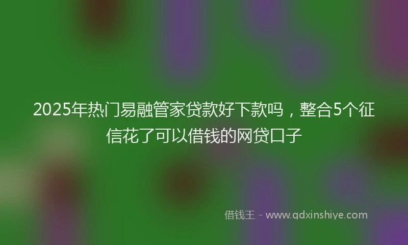 2025年热门易融管家贷款好下款吗，整合5个征信花了可以借钱的网贷口子