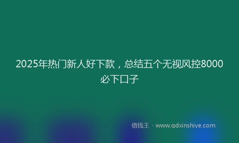 2025年热门新人好下款，总结五个无视风控8000必下口子