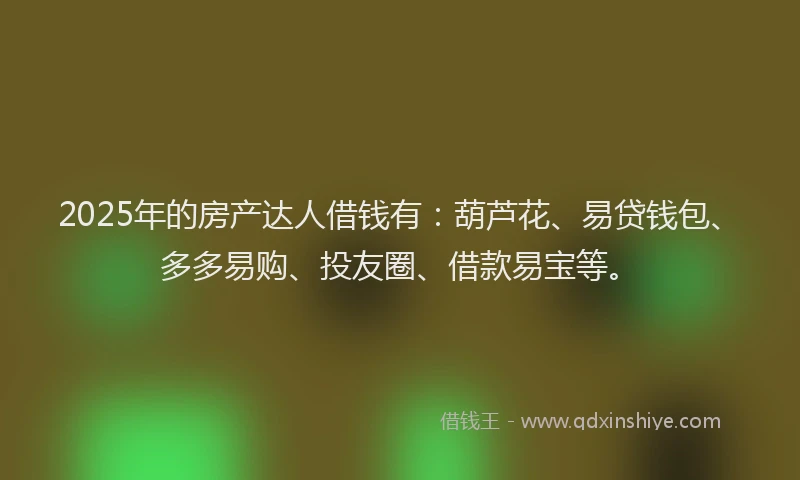 2025年的房产达人借钱有：葫芦花、易贷钱包、多多易购、投友圈、借款易宝等。