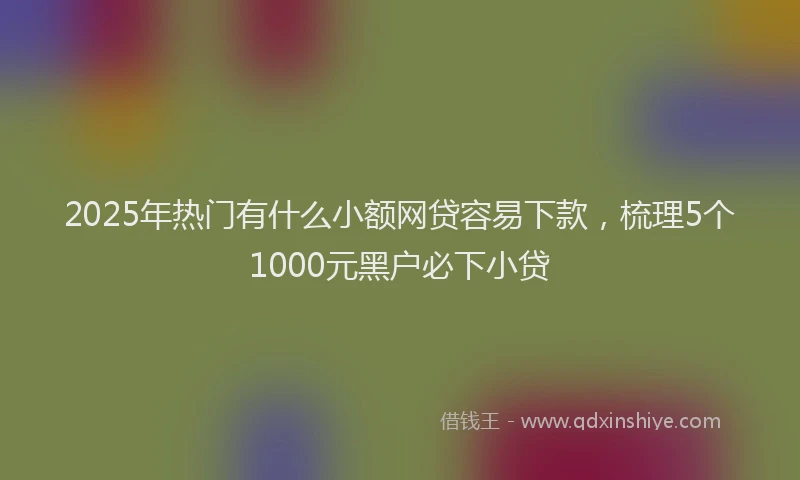 2025年热门有什么小额网贷容易下款，梳理5个1000元黑户必下小贷