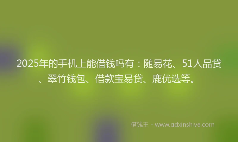 2025年的手机上能借钱吗有：随易花、51人品贷、翠竹钱包、借款宝易贷、鹿优选等。