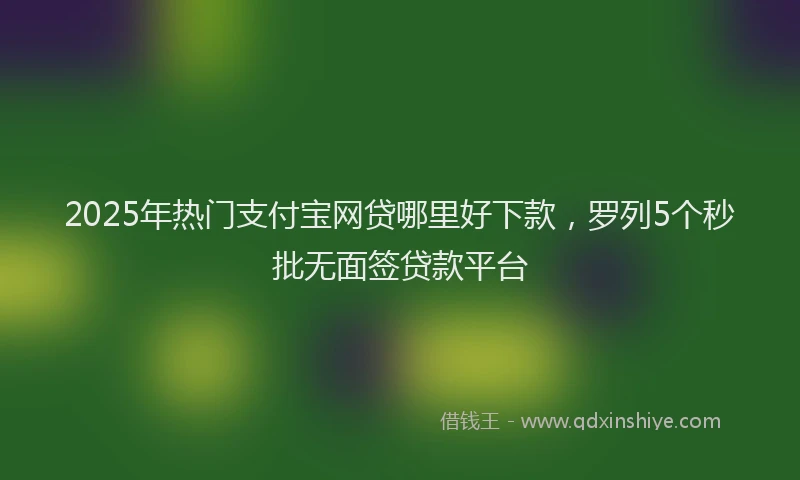 2025年热门支付宝网贷哪里好下款，罗列5个秒批无面签贷款平台