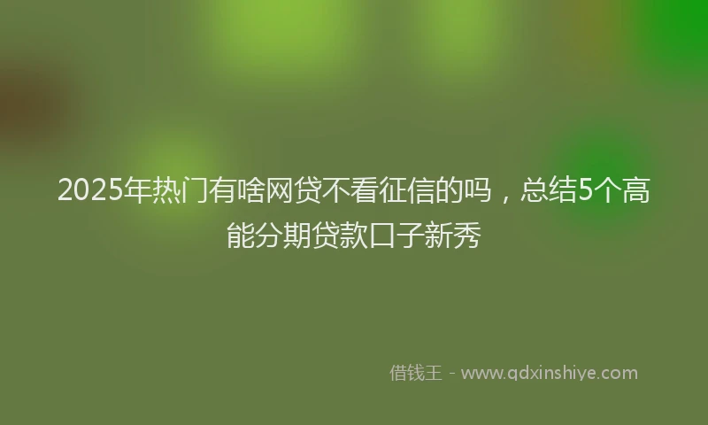 2025年热门有啥网贷不看征信的吗，总结5个高能分期贷款口子新秀