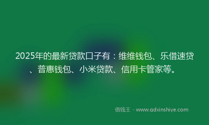 2025年的最新贷款口子有：维维钱包、乐借速贷、普惠钱包、小米贷款、信用卡管家等。