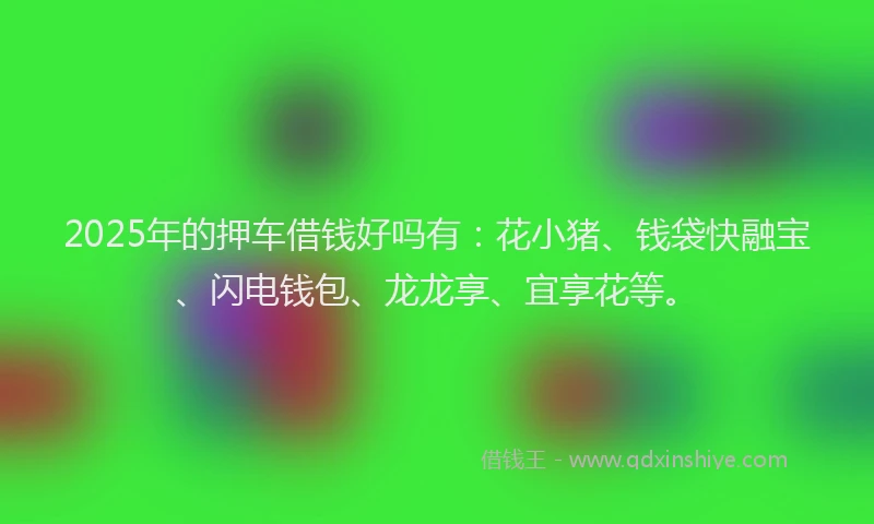 2025年的押车借钱好吗有：花小猪、钱袋快融宝、闪电钱包、龙龙享、宜享花等。
