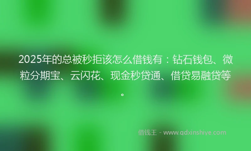 2025年的总被秒拒该怎么借钱有：钻石钱包、微粒分期宝、云闪花、现金秒贷通、借贷易融贷等。