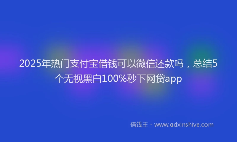 2025年热门支付宝借钱可以微信还款吗，总结5个无视黑白100%秒下网贷app