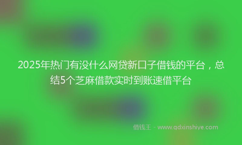2025年热门有没什么网贷新口子借钱的平台，总结5个芝麻借款实时到账速借平台