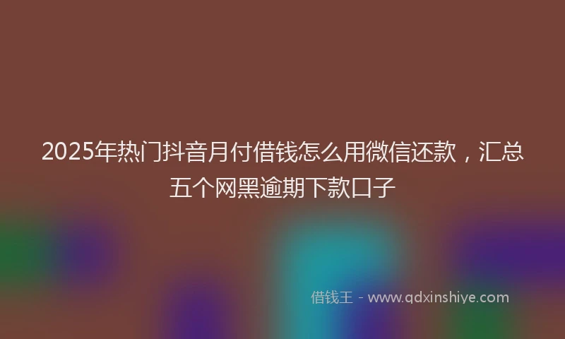 2025年热门抖音月付借钱怎么用微信还款，汇总五个网黑逾期下款口子
