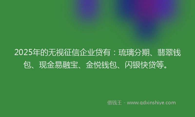 2025年的无视征信企业贷有：琉璃分期、翡翠钱包、现金易融宝、金悦钱包、闪银快贷等。