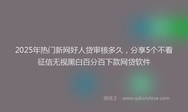 2025年热门新网好人贷审核多久，分享5个不看征信无视黑白百分百下款网贷软件
