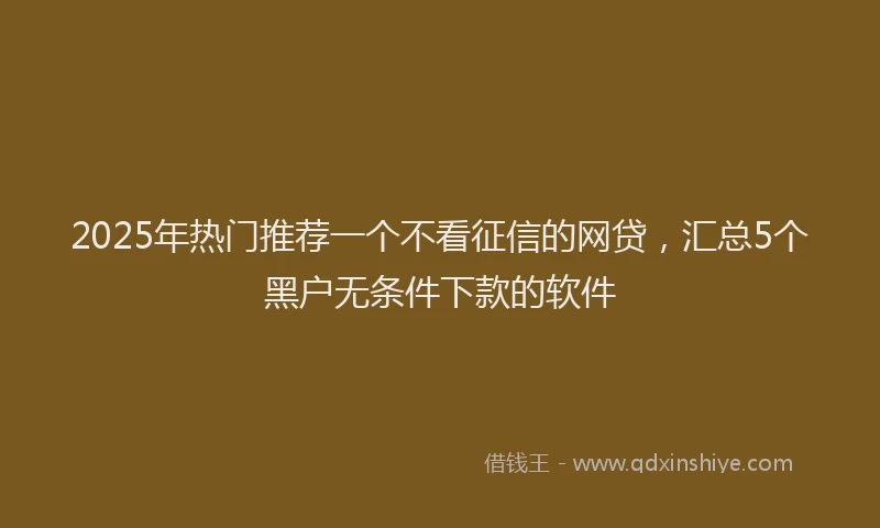 2025年热门推荐一个不看征信的网贷，汇总5个黑户无条件下款的软件